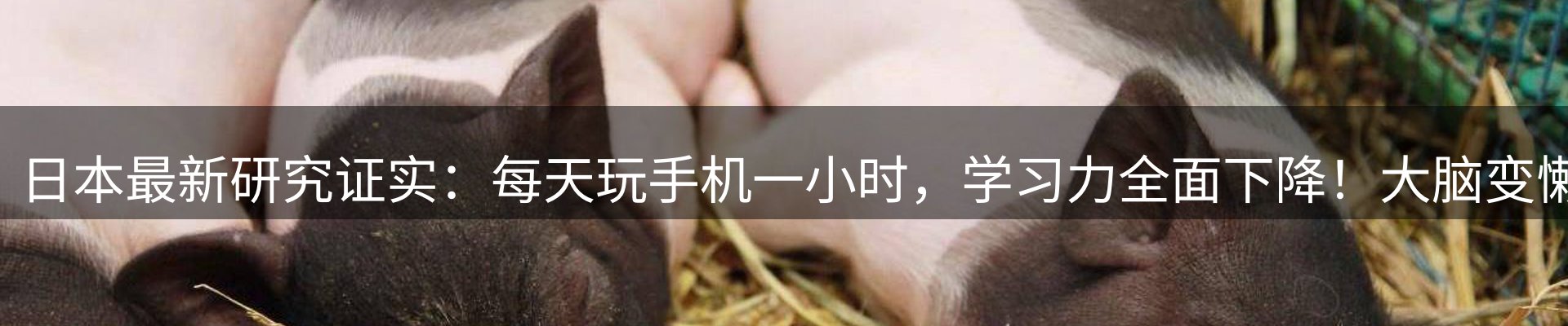 内页banner