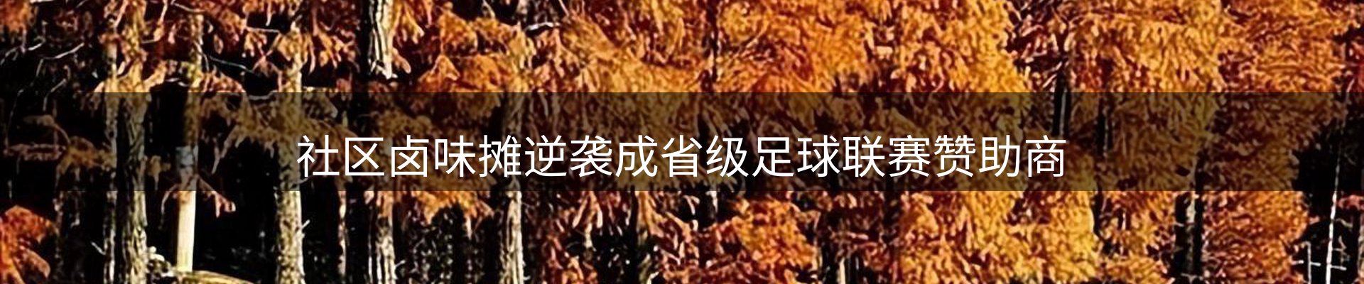 内页banner